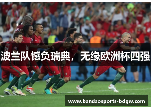 波兰队憾负瑞典，无缘欧洲杯四强